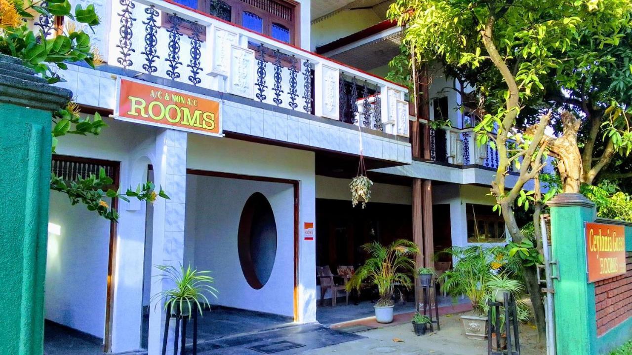 Ceylonia Guest Hotell Weligama Exteriör bild